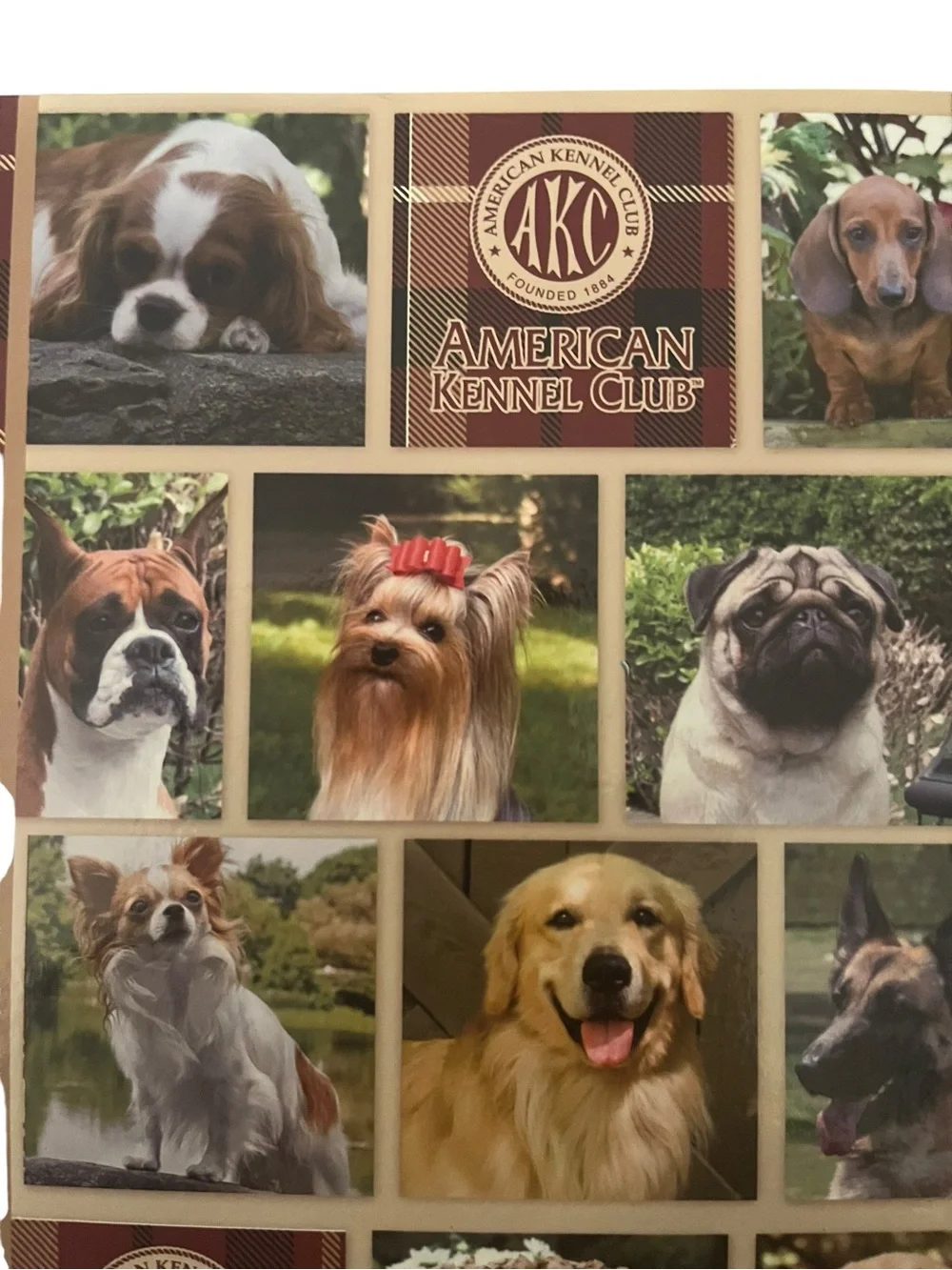 AKC American Kennel Club Lined NoteBook Journal Dog Breeds Canine 2010 Unused